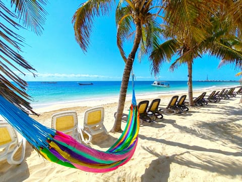 On the beach, sun loungers