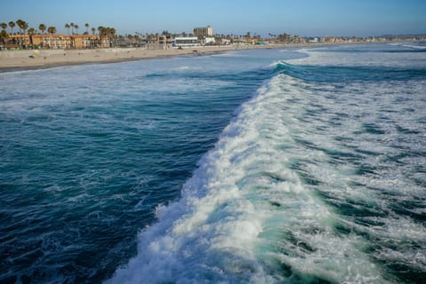 Beach nearby, scuba diving