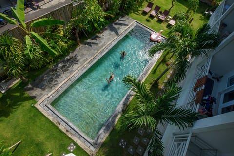 Outdoor pool, sun loungers