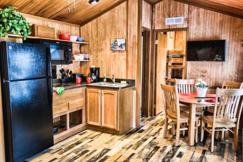 Large Cabin  | Private kitchenette | Fridge, microwave, freezer