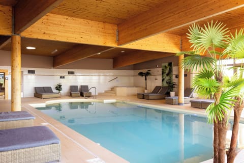 Indoor pool, sun loungers
