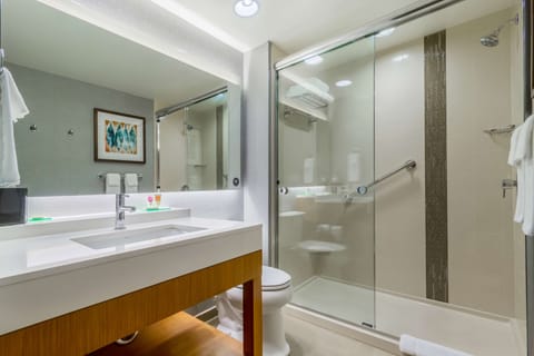 Designer toiletries, hair dryer, towels