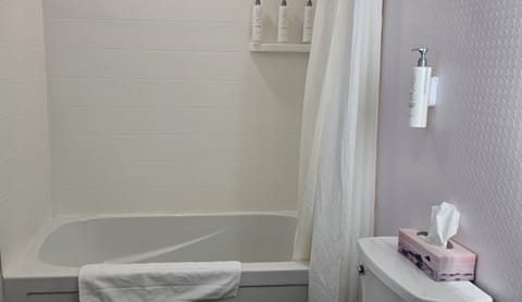 Exclusive Room | Bathroom | Combined shower/tub, free toiletries, hair dryer, bathrobes
