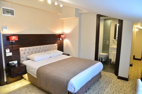 Executive Double Room, 1 Double Bed | Minibar, in-room safe, desk, soundproofing