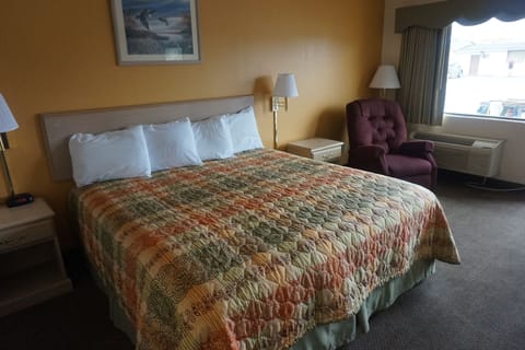 Standard Room, 1 King Bed | View from room