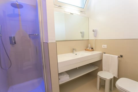 Deluxe Double or Twin Room | Bathroom | Shower, free toiletries, hair dryer, bidet