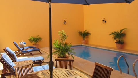 Outdoor pool, sun loungers