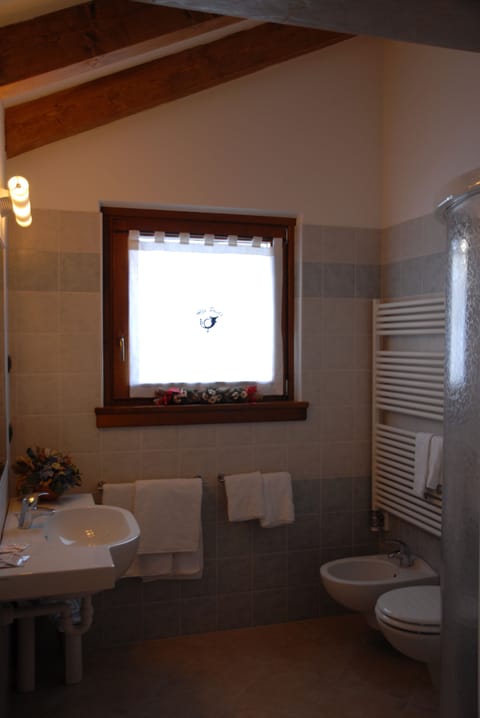 Shower, free toiletries, hair dryer, bidet