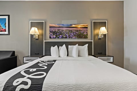 Standard Room, 1 King Bed | Hypo-allergenic bedding, down comforters, desk, blackout drapes