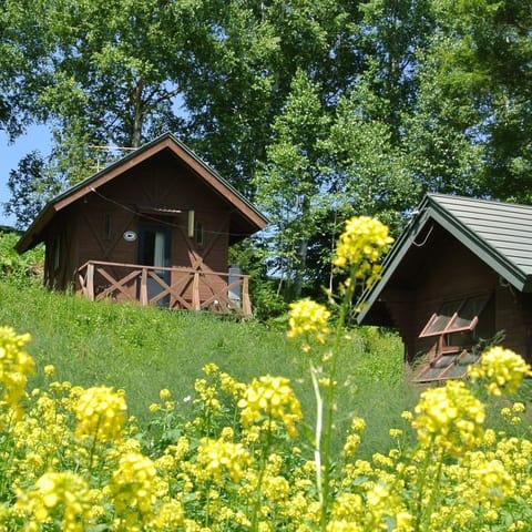 Pet Friendly Lodge, Non Smoking | Room amenity