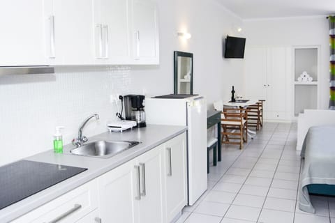 Standard Studio, Multiple Beds, Garden View | Private kitchen | Fridge, oven, stovetop, coffee/tea maker
