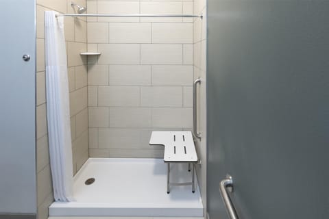 Standard Room, 1 King Bed, Accessible, Non Smoking (Walk-in Shower) | Bathroom | Designer toiletries, hair dryer, towels, soap