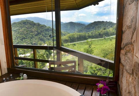 Luxury Cabin | Balcony view