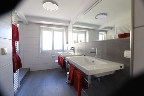 Shower, free toiletries, hair dryer, towels