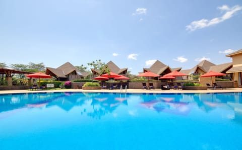 Outdoor pool, open 7:00 AM to 6 PM, pool umbrellas, sun loungers