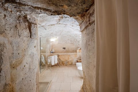 Junior Suite | Bathroom | Shower, free toiletries, hair dryer, towels