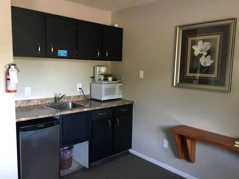 Fridge, microwave, coffee/tea maker, electric kettle