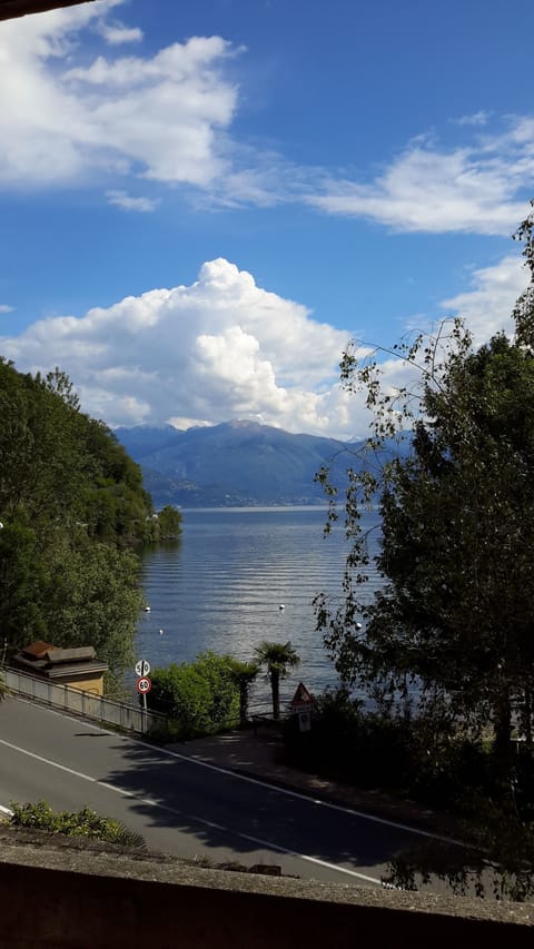 Lake view