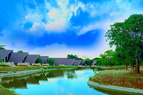 Lake view