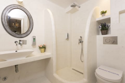 Deluxe Double Room | Bathroom | Shower, free toiletries, hair dryer, towels