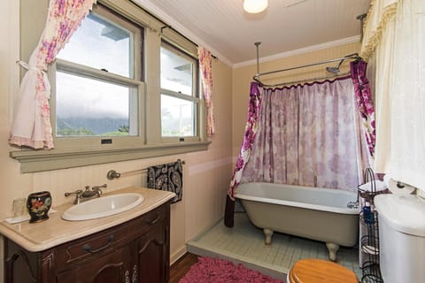 Shower, hair dryer, soap, shampoo