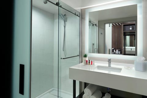 Shower, hydromassage showerhead, eco-friendly toiletries, hair dryer