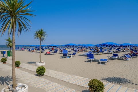 Sun loungers, beach umbrellas, beach yoga, beach volleyball
