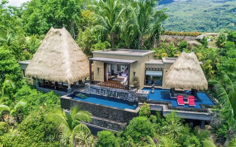 Ocean View Pool Villa | 1 bedroom, premium bedding, minibar, in-room safe