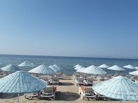 Private beach, sun loungers, beach umbrellas