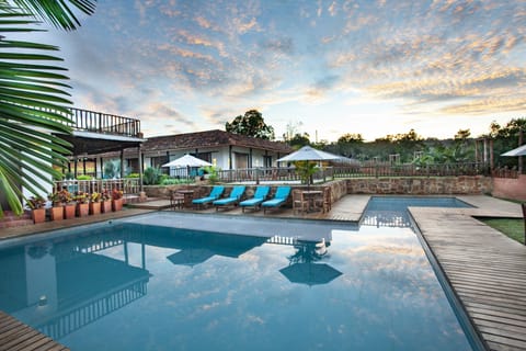 Outdoor pool, sun loungers