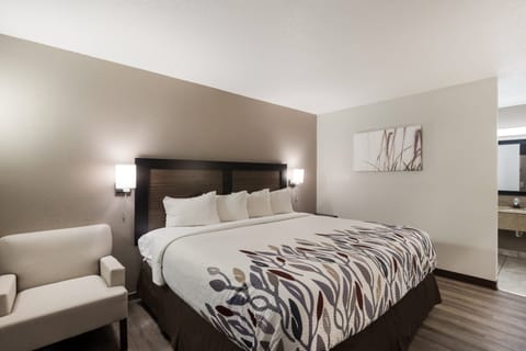 Superior Room, 1 King Bed, Non Smoking | Desk, laptop workspace, free WiFi