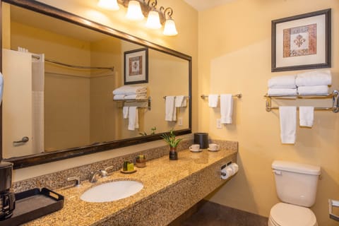 Combined shower/tub, rainfall showerhead, free toiletries, hair dryer