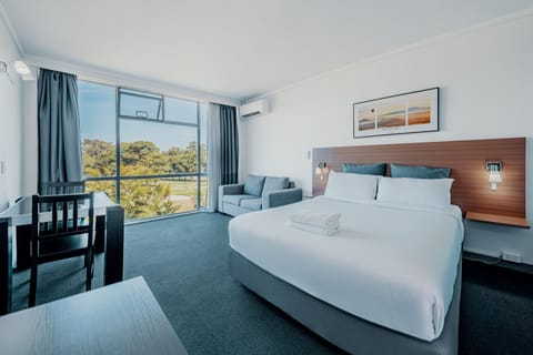 Standard Queen Room | Desk, laptop workspace, blackout drapes, iron/ironing board