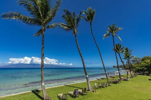 Condo, 1 Bedroom | Beach | On the beach