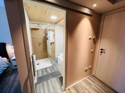 Superior Double Room | Bathroom | Shower, deep soaking tub, free toiletries, hair dryer