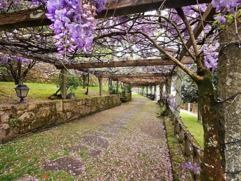 Basic Double or Twin Room, Garden View | Terrace/patio