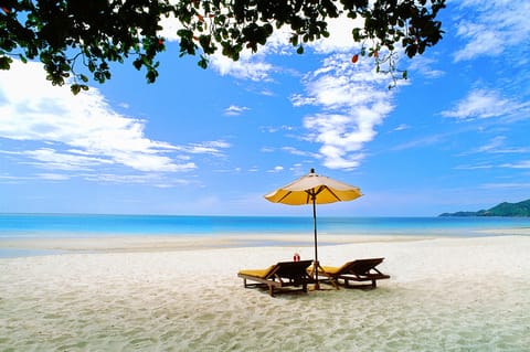 On the beach, beach umbrellas, beach towels, beach bar
