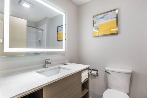 Suite, 1 King Bed with Sofa bed, Non Smoking | Premium bedding, down comforters, desk, blackout drapes