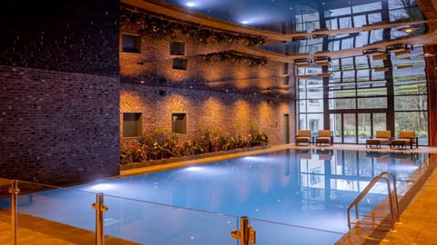 Indoor pool, sun loungers