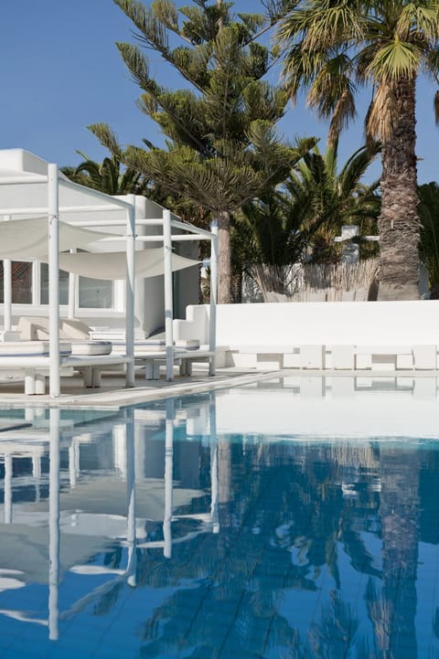 Outdoor pool, pool umbrellas, sun loungers