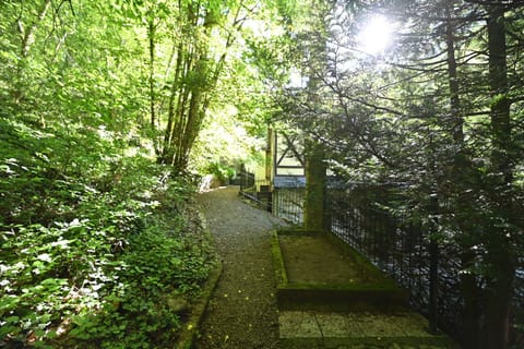 Immediate Surroundings [summer] (<1 km)