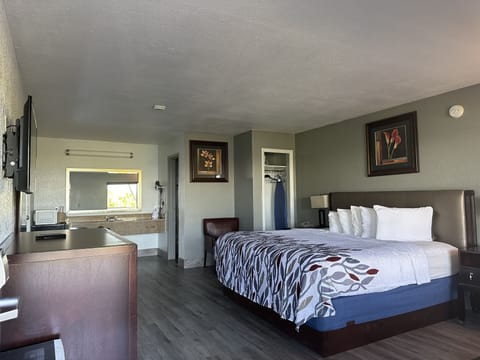 Executive Single Room, 1 King Bed, River View | Premium bedding, desk, laptop workspace, free WiFi