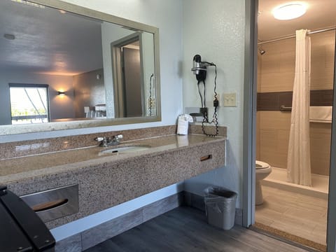 Hair dryer, towels, shampoo, toilet paper