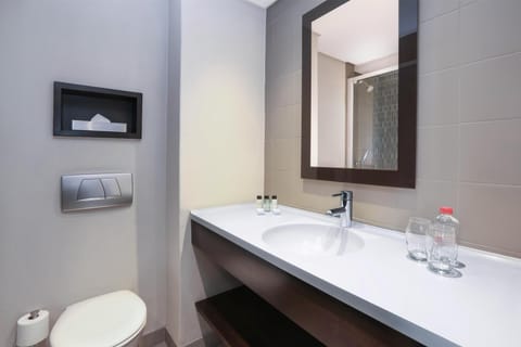 Standard Room | Bathroom | Separate tub and shower, designer toiletries, hair dryer, towels