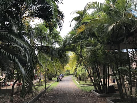 1-Bedroom Villa with Kitchenette  | Terrace/patio