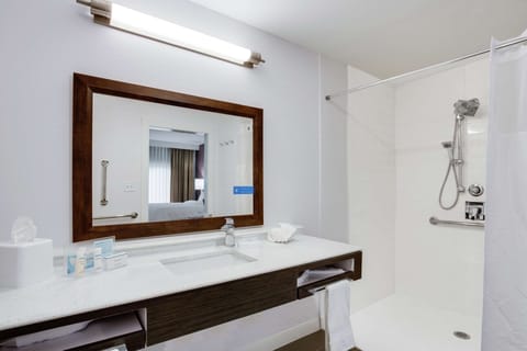 Studio, 1 King Bed, Accessible (Roll-In Shower, Mobility & Hearing) | Bathroom shower
