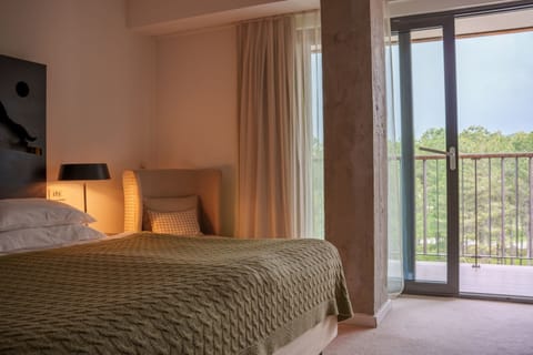 Superior Double or Twin Room | 1 bedroom, Egyptian cotton sheets, premium bedding, minibar