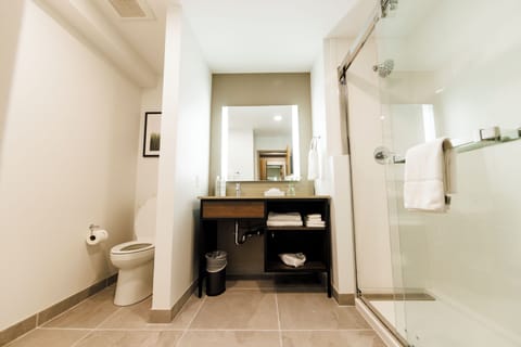 Combined shower/tub, free toiletries, hair dryer, towels