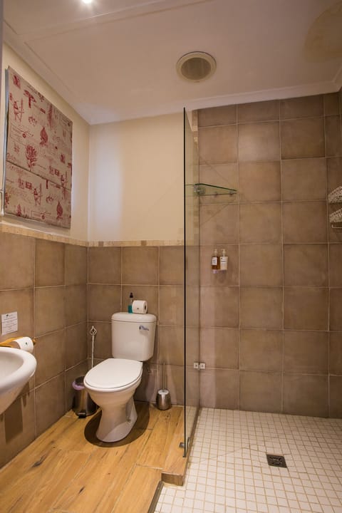 Luxury Twin Room | Bathroom | Shower, hair dryer, towels, soap