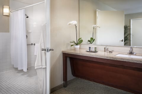 Combined shower/tub, free toiletries, hair dryer, towels